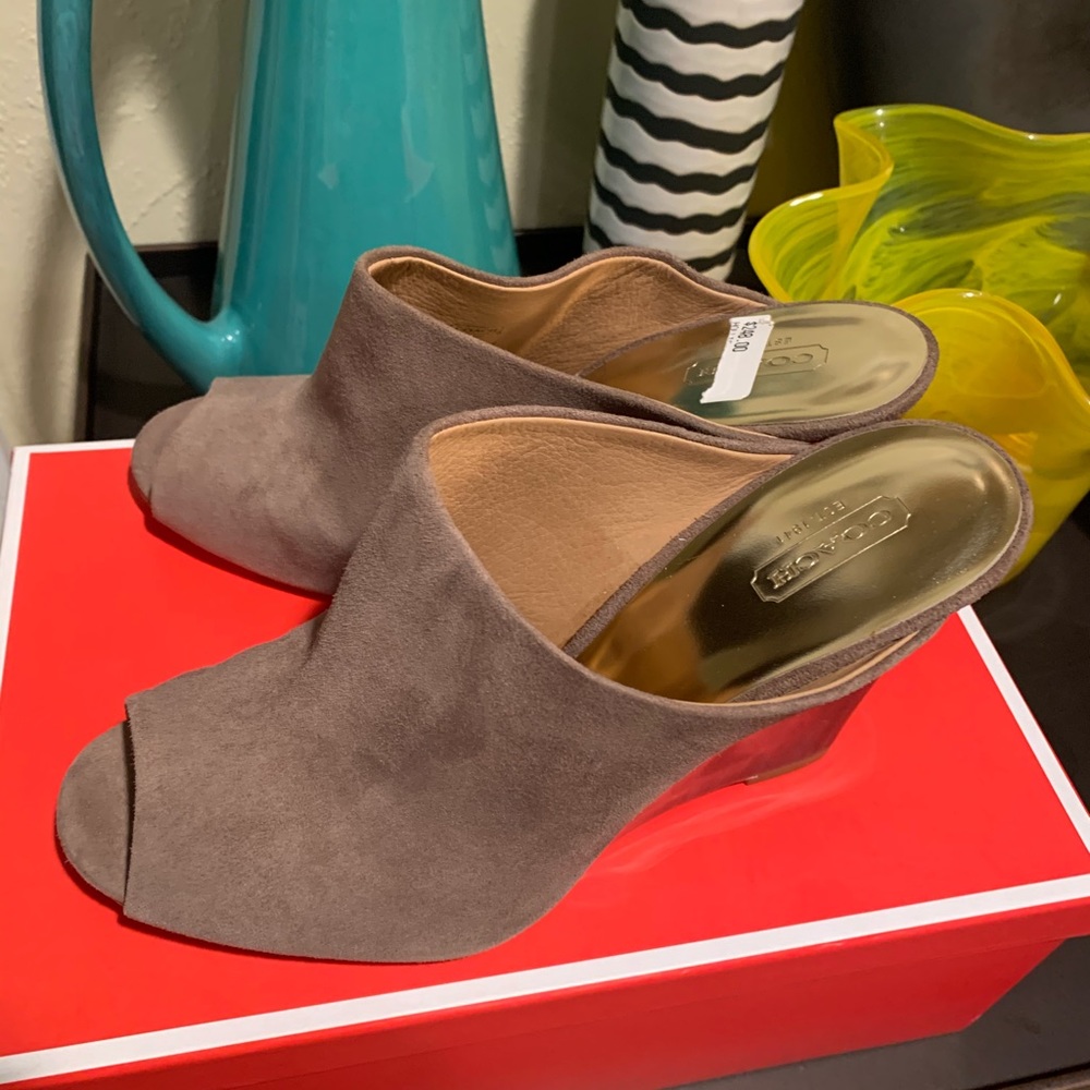 Coach Hollie Kid Suede Shoes NWT